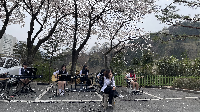 밴드&nbsp;동아리&nbsp;버스킹&nbsp;공연-&nbsp;벚꽃&nbsp;휘날리며